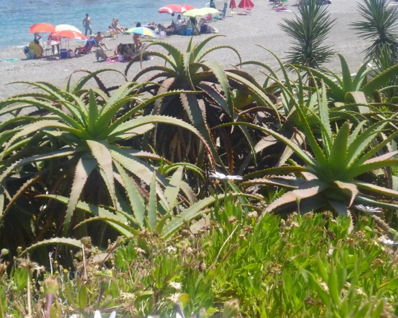 2108-Nice Apt With Pool Close From Beach And Bars Manilva Apartament